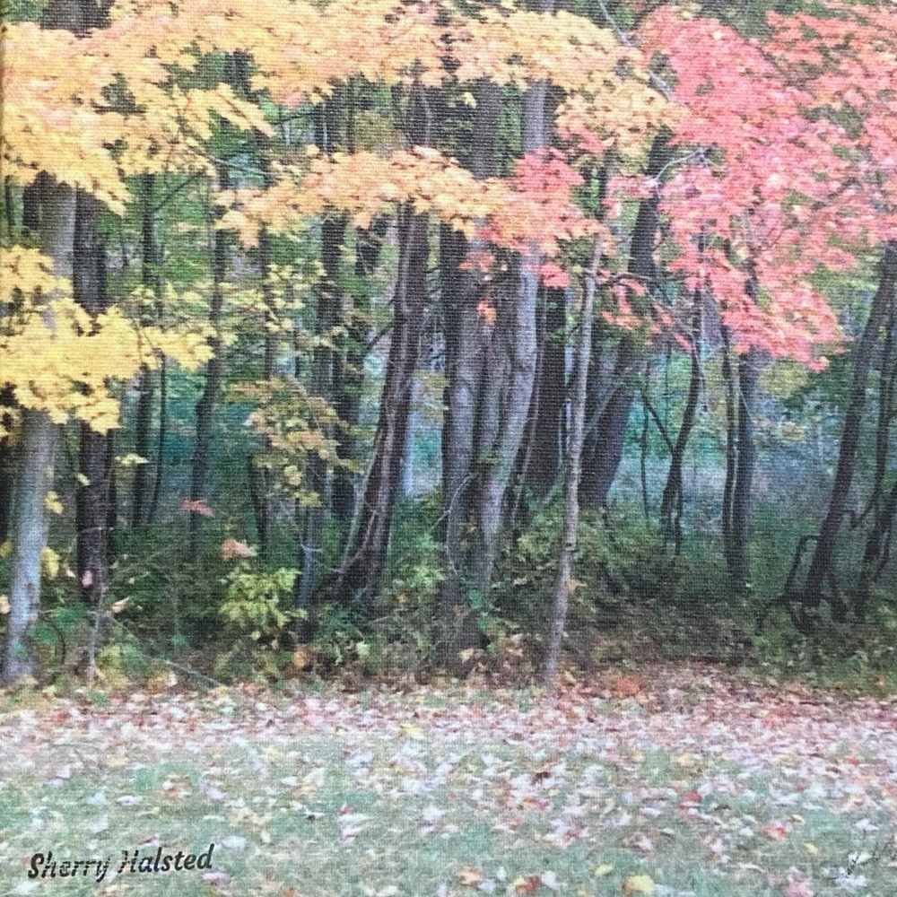 Canvas print from my photo.